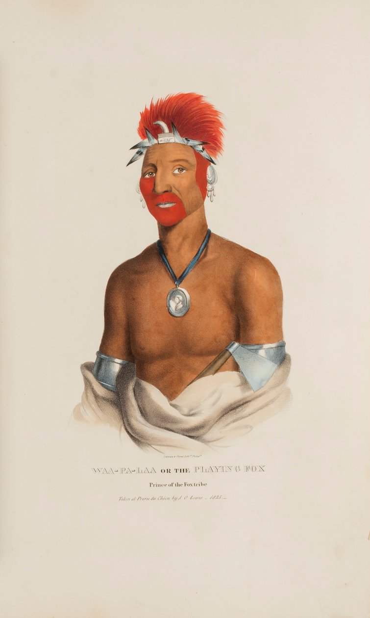 WAA-PA-LAA eller den legende ræv; prins af rævestammen, fra The Aboriginal Portfolio af James Otto Lewis