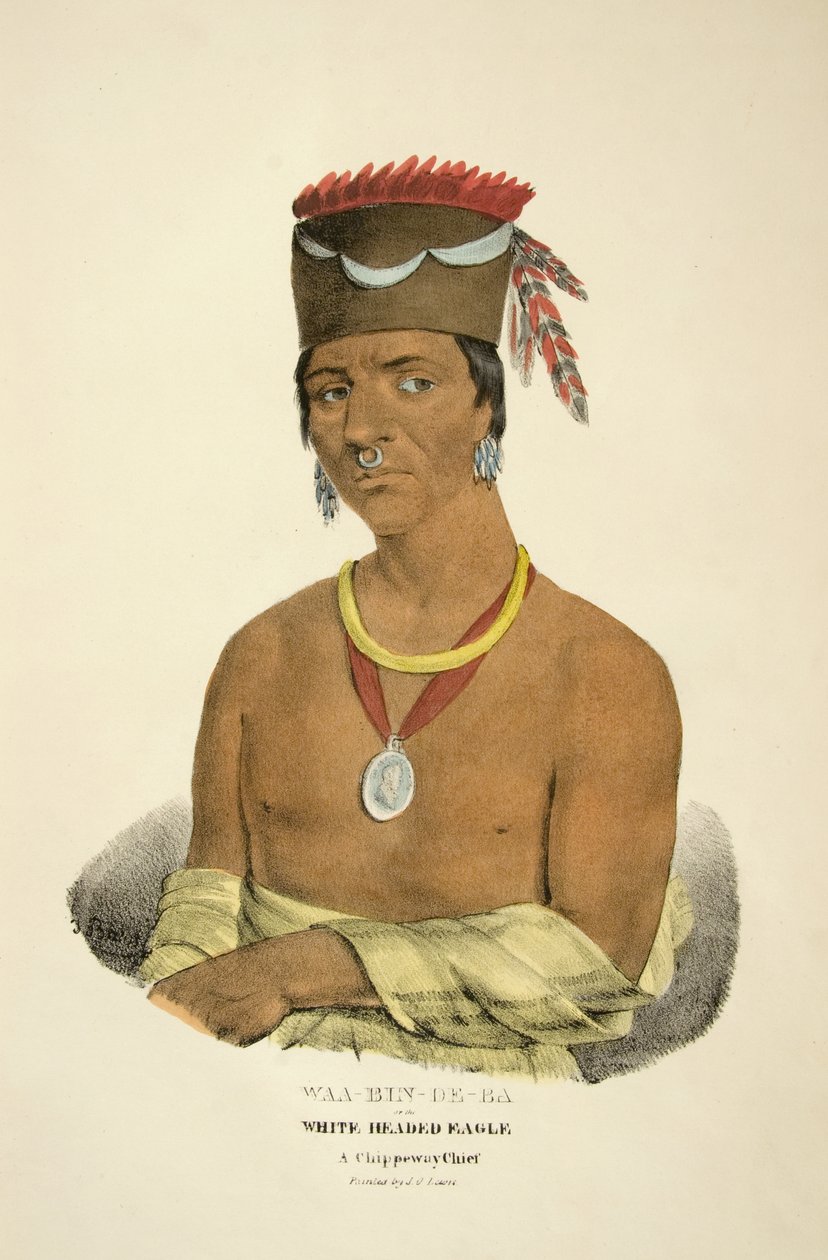Was-vin-de-ba eller White Headed Eagle af James Otto Lewis