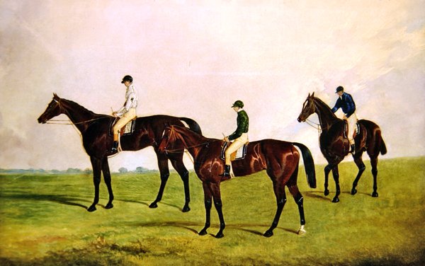 Racehorses Jockeys Up (olie på lærred) af James Pollard