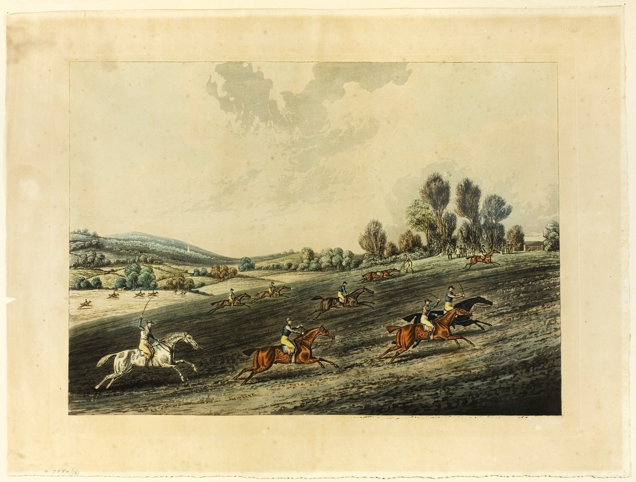 Saint Albans Grand Steeple Chase af James Pollard