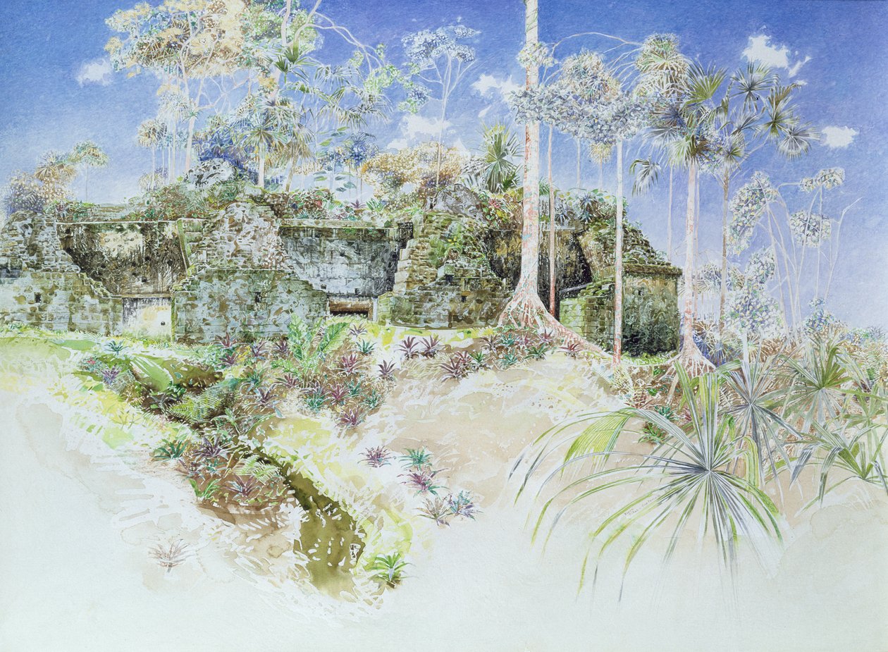 Ruined Temple, Tikal, Guatemala, 1984 (wc på papir) af James Reeve