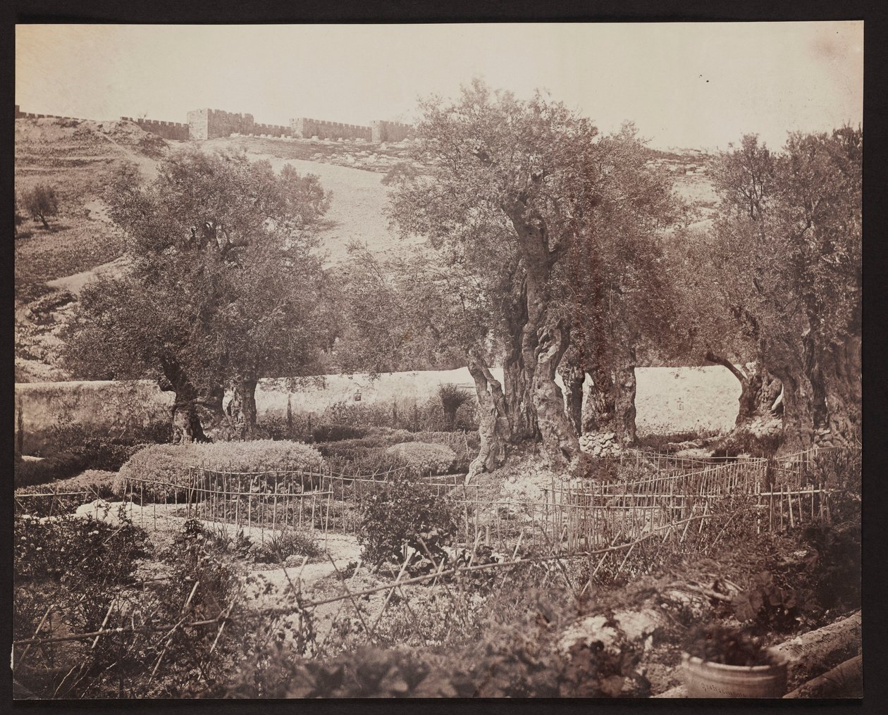 Getsemane [Jerusalem. Oliebjerget] af James Robertson