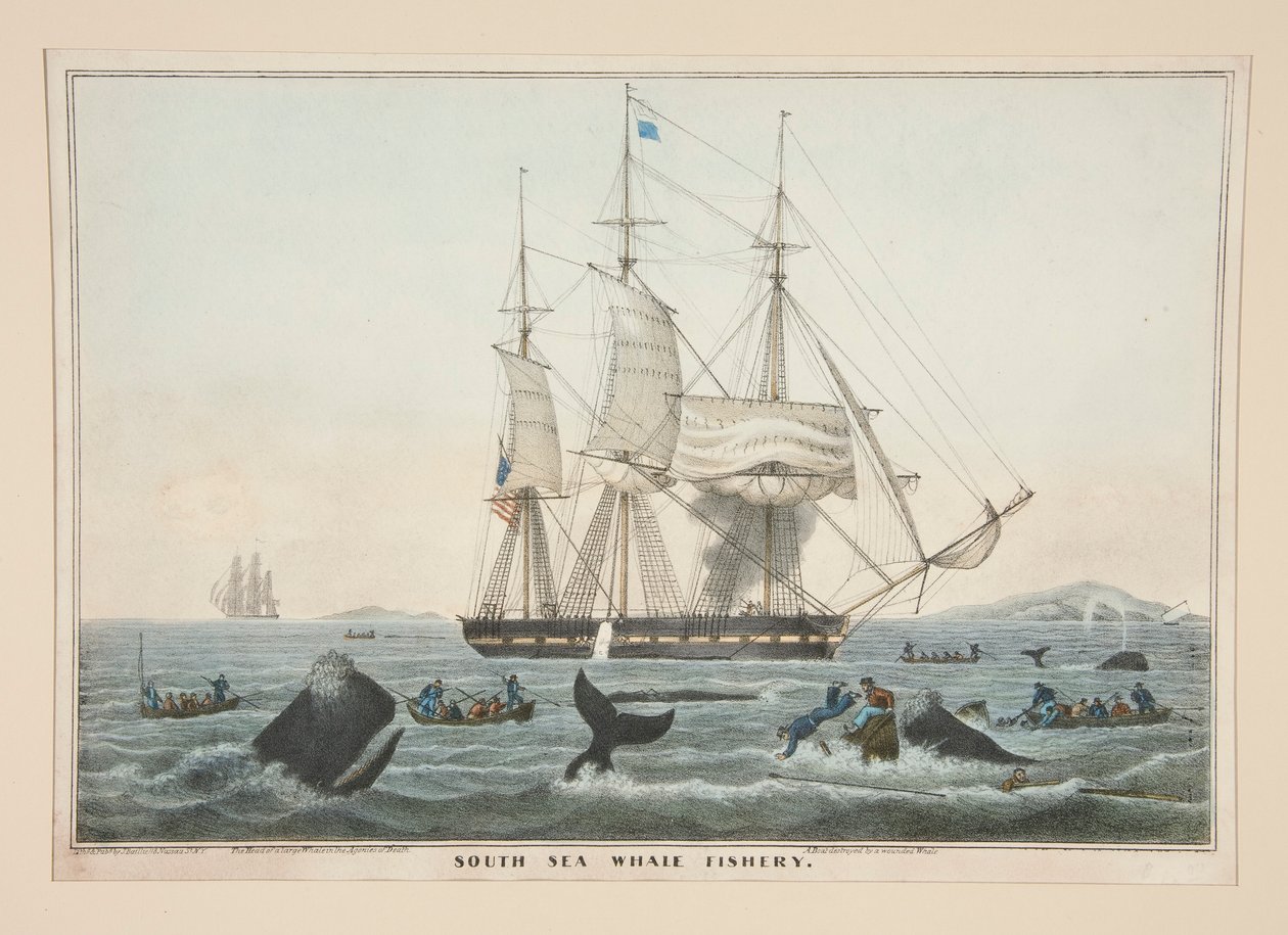 South Sea Whale Fishery af James S. Baillie