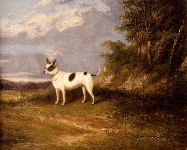 En terrier i et landskab af James Senior Clark
