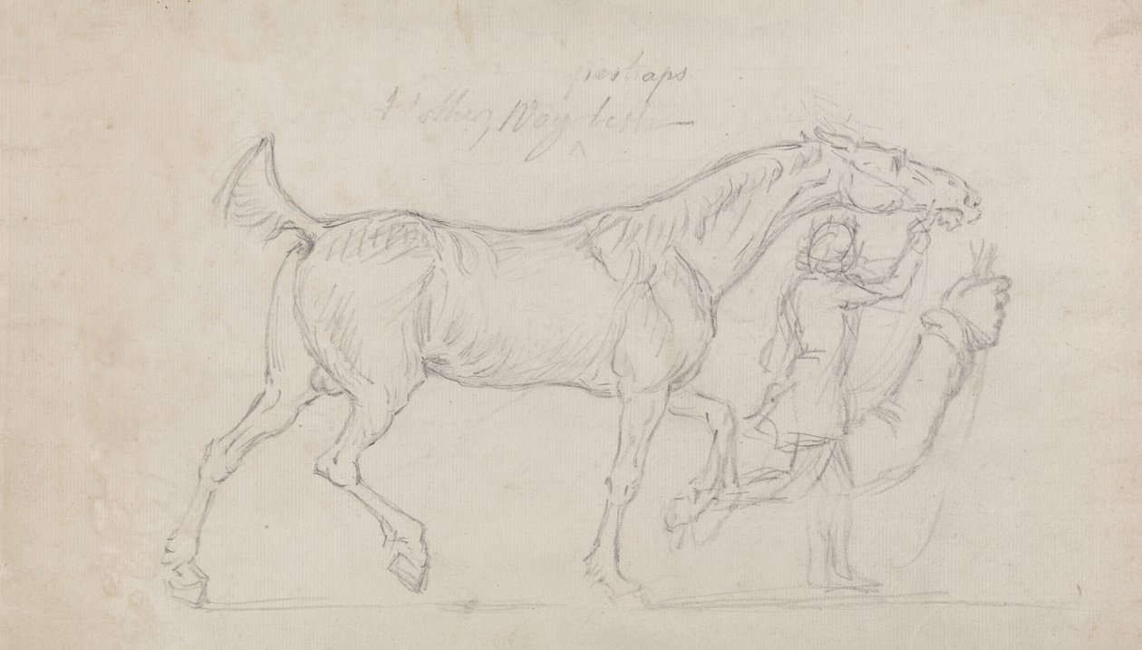 Mand fører en travhingst til højre (grafit og sort kridt på papir) af James Seymour