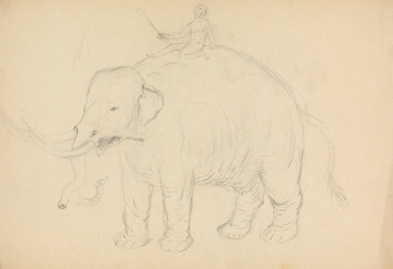 Elefant med rytter af James Sowerby