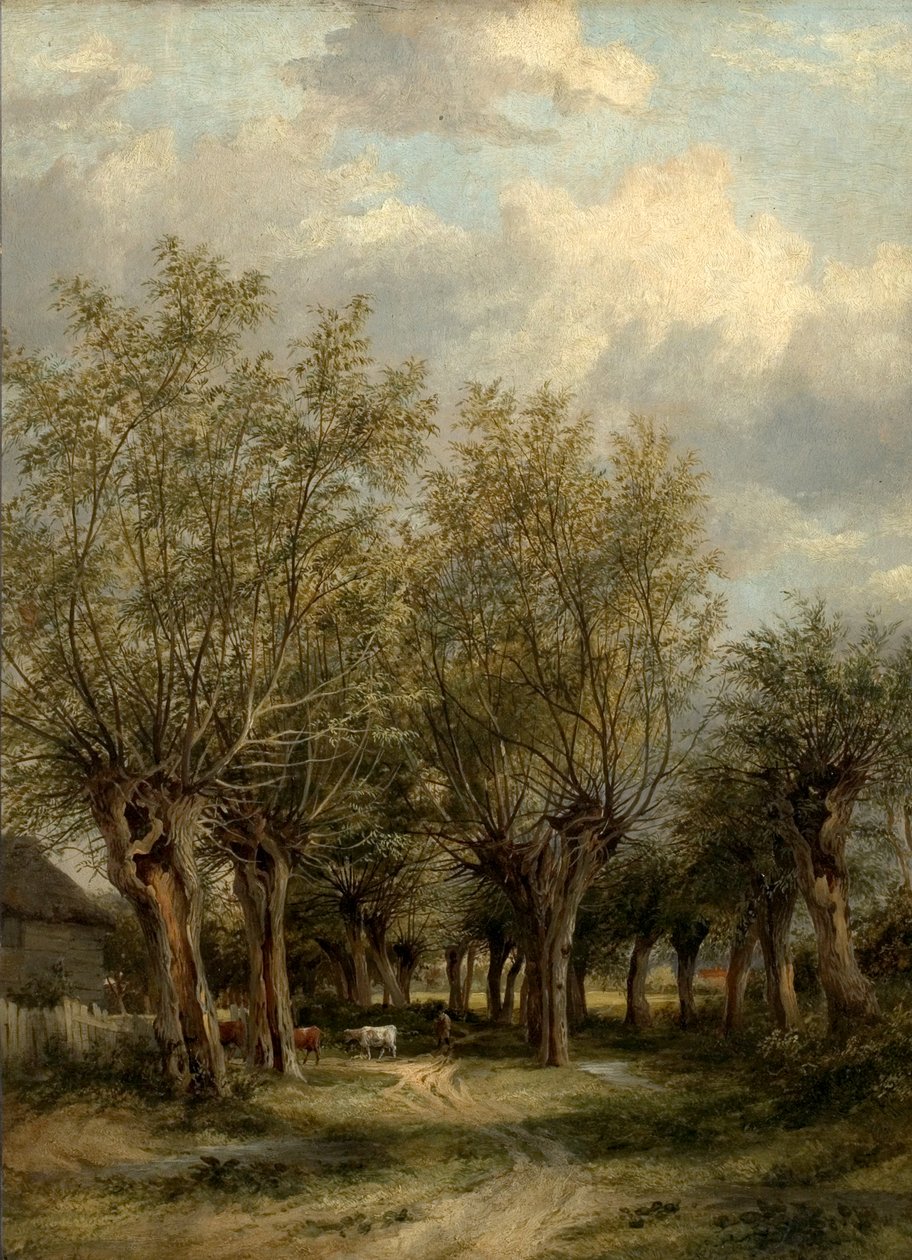 En bane nær Norwich, Norfolk, ca. 1830 af James Stark
