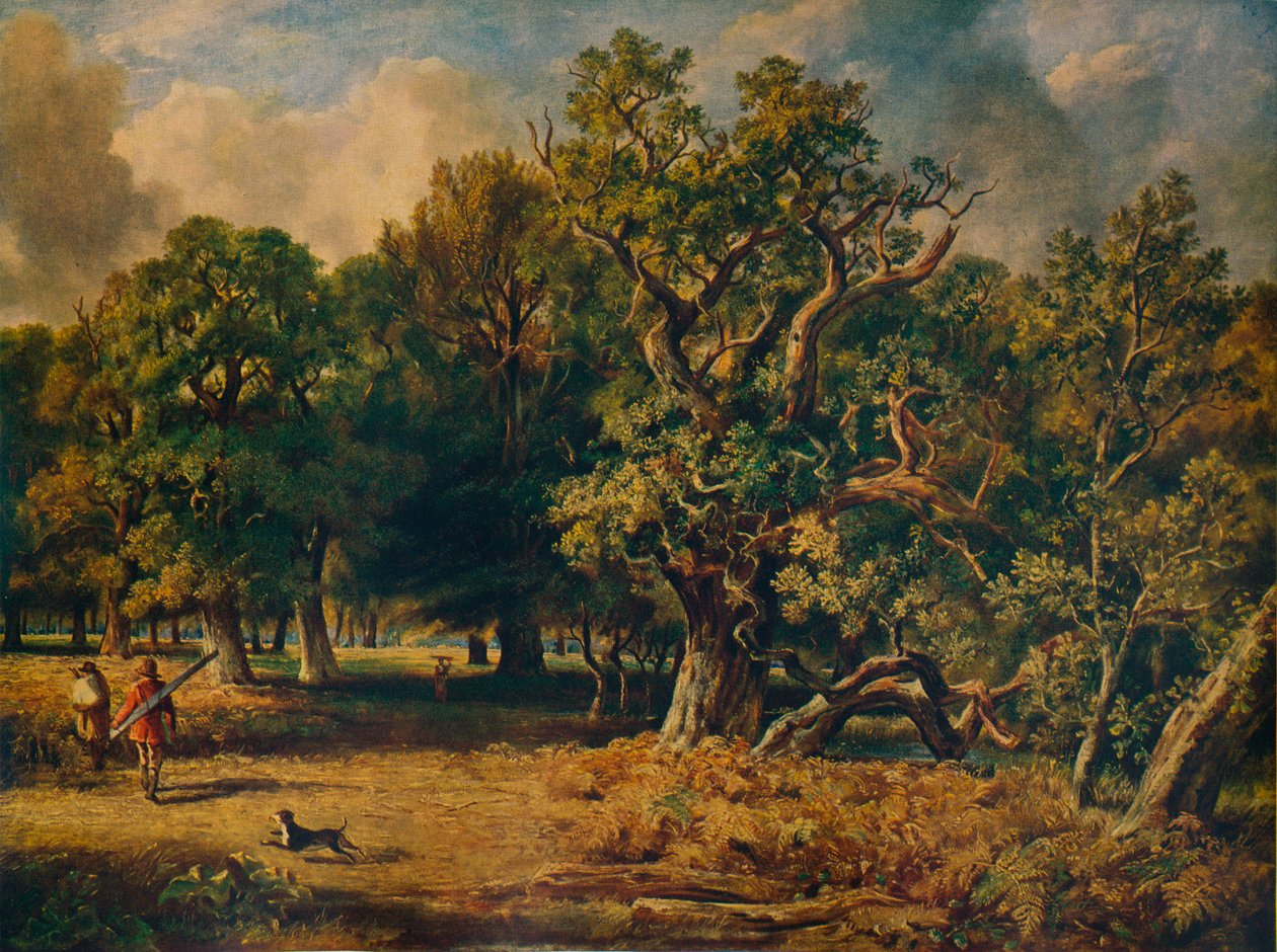 Windsor Forest, c1835 af James Stark