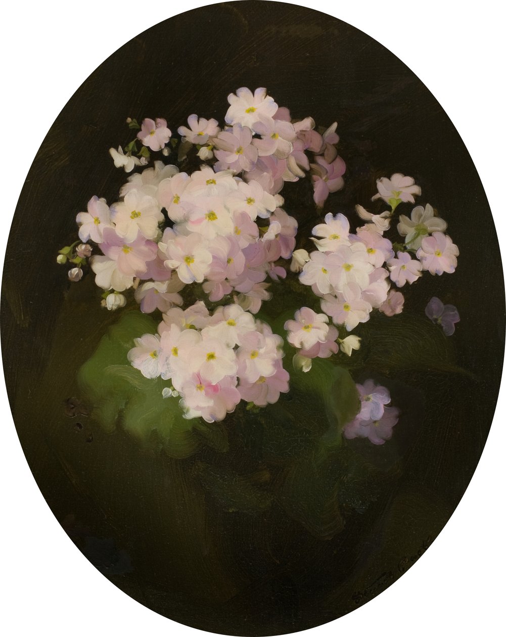 Primulas, 20. århundrede (olie på lærred) af James Stuart Park