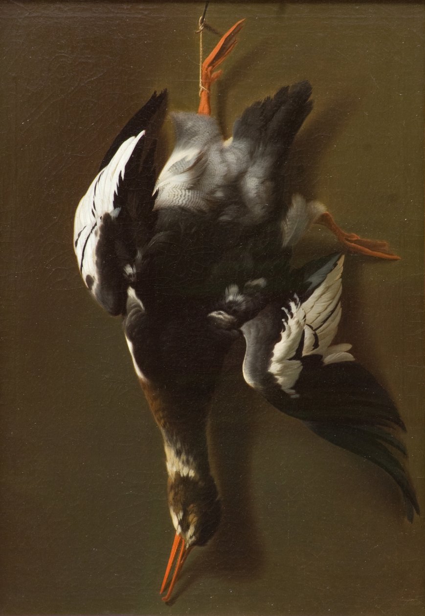 Dead Fowl, ca. 1815 (olie på lærred) af James Thom