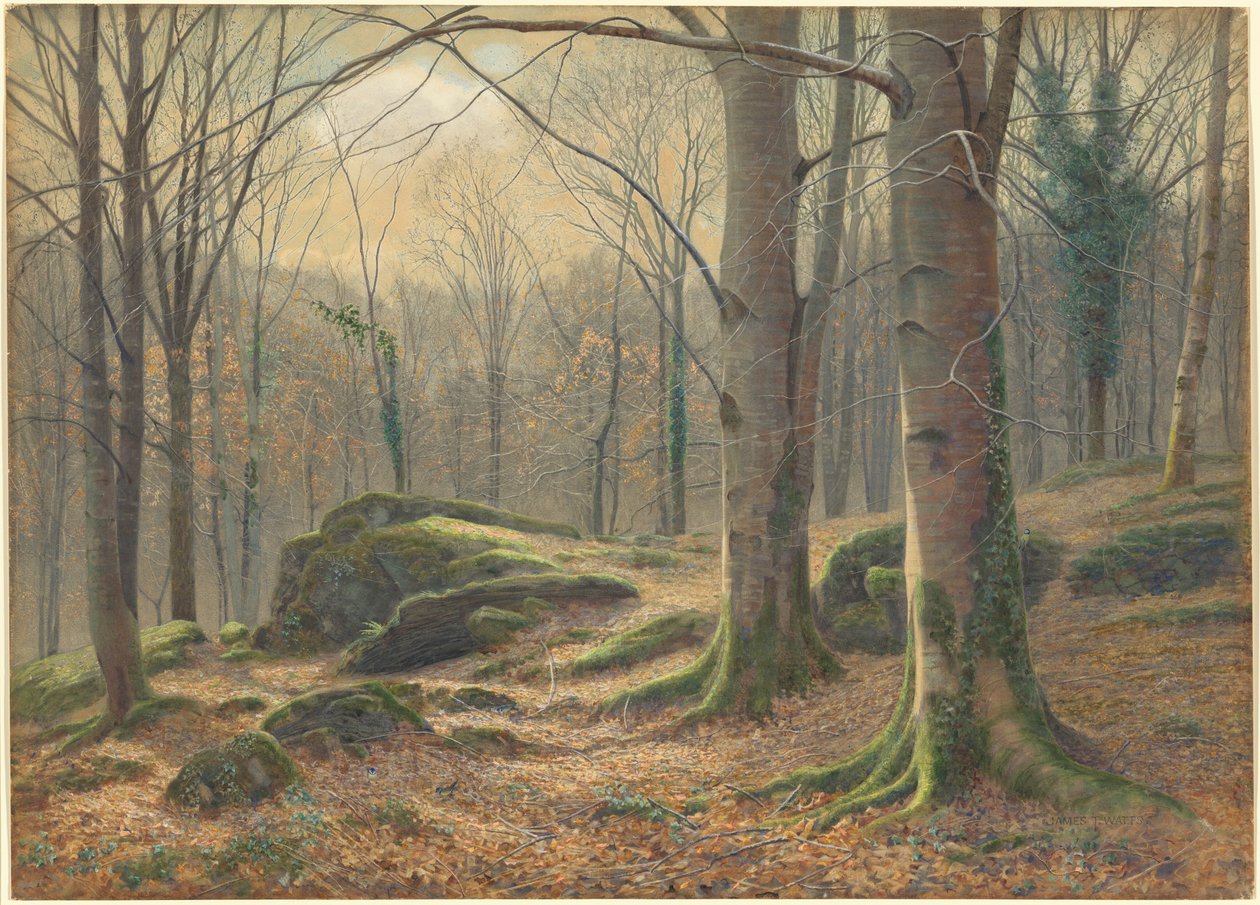 En vintermorgen, rimfrost smelter af James Thomas Watts