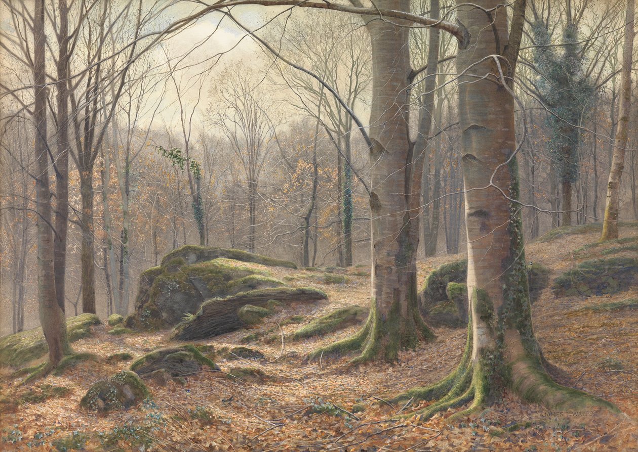 En vintermorgen, rimfrost smelter, 1885-1894 af James Thomas Watts