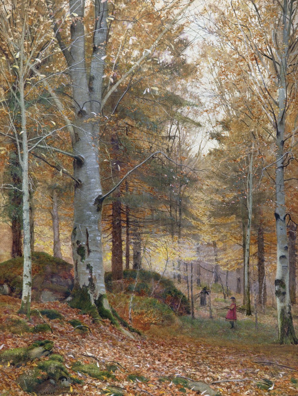 Efterår i skoven af James Thomas Watts