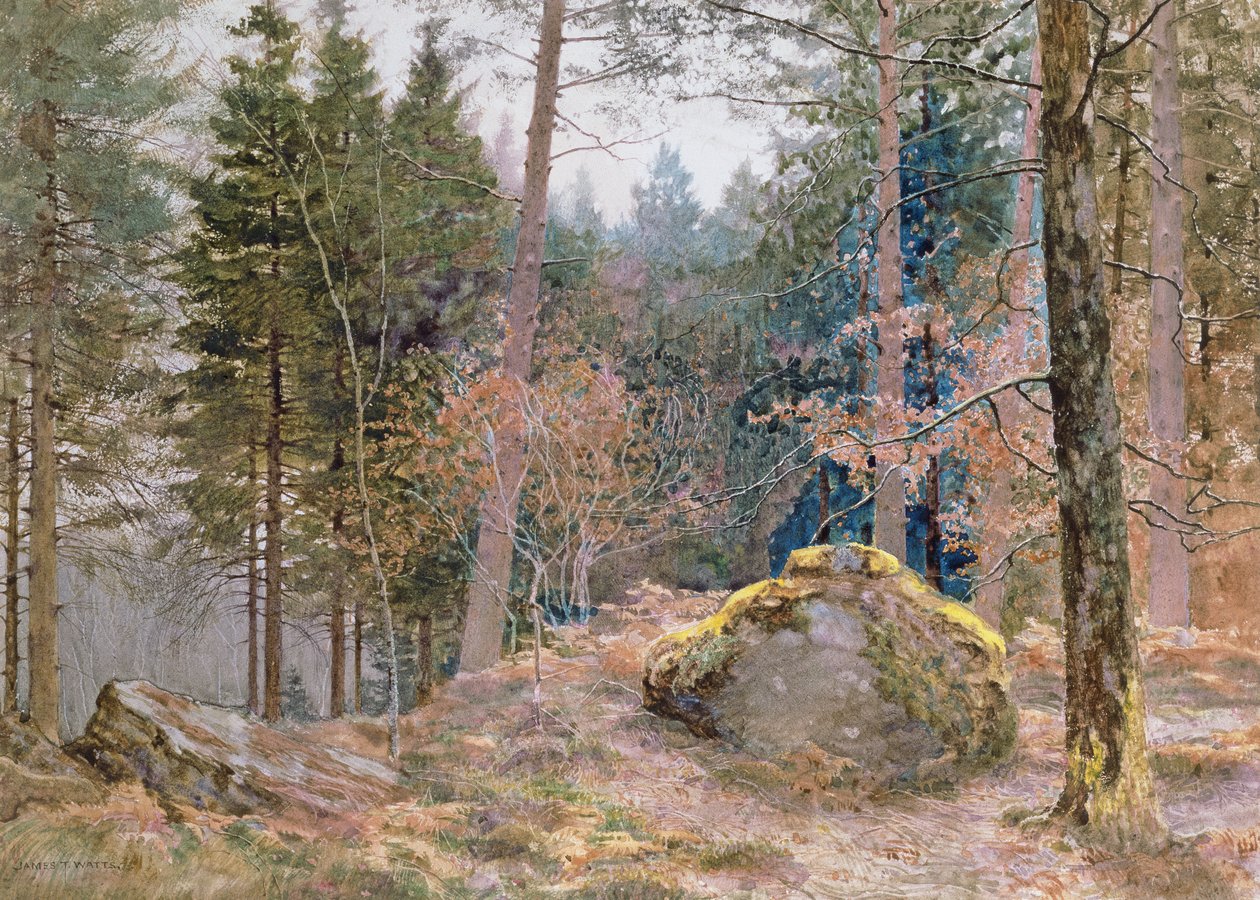 I en walisisk skov, vinter af James Thomas Watts