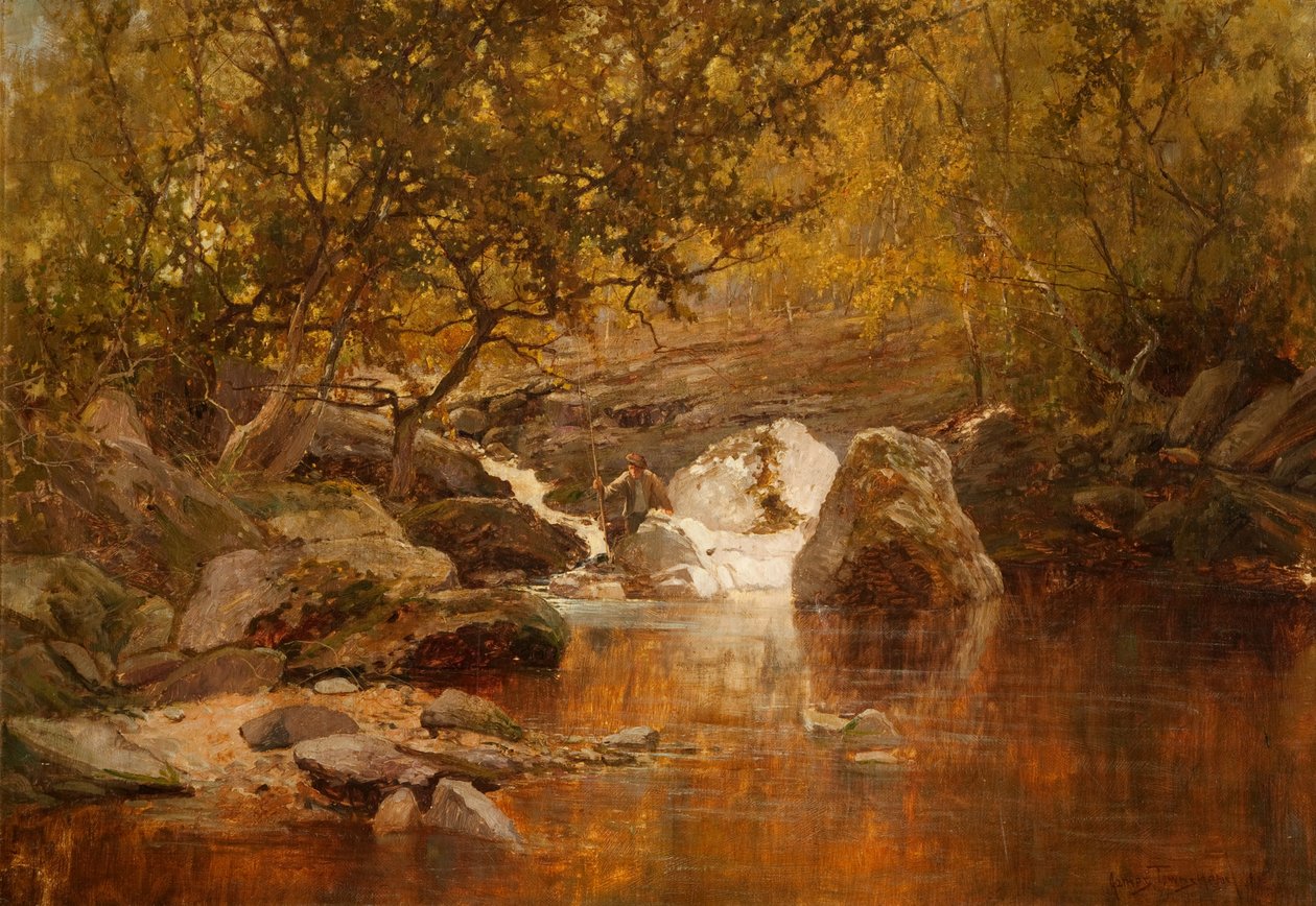 En laksepool (olie på lærred) af James Townshend