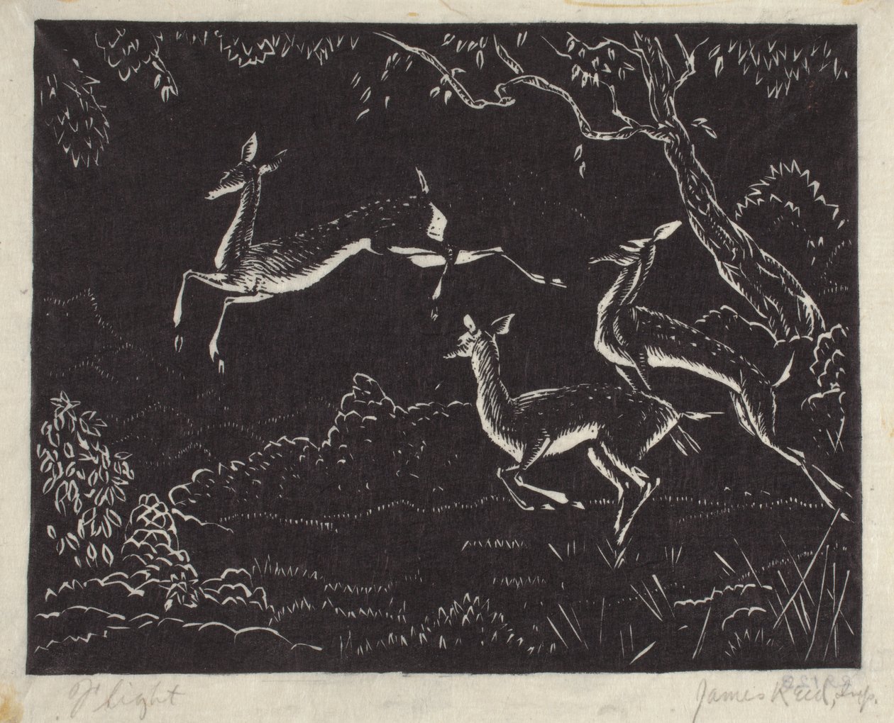Flight (træbloktryk) af James W. Reid