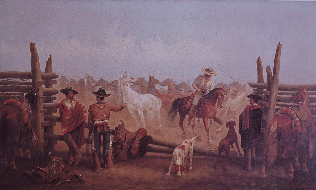 Tejano Ranchers af James Walker