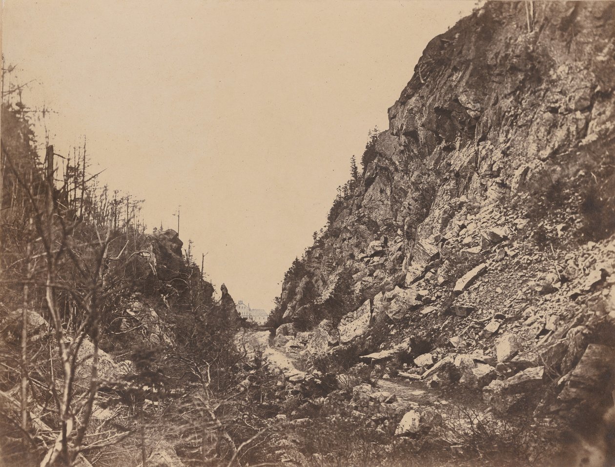 Leder af White Mountain Notch, Crawford House, 1854. af James Wallace Black