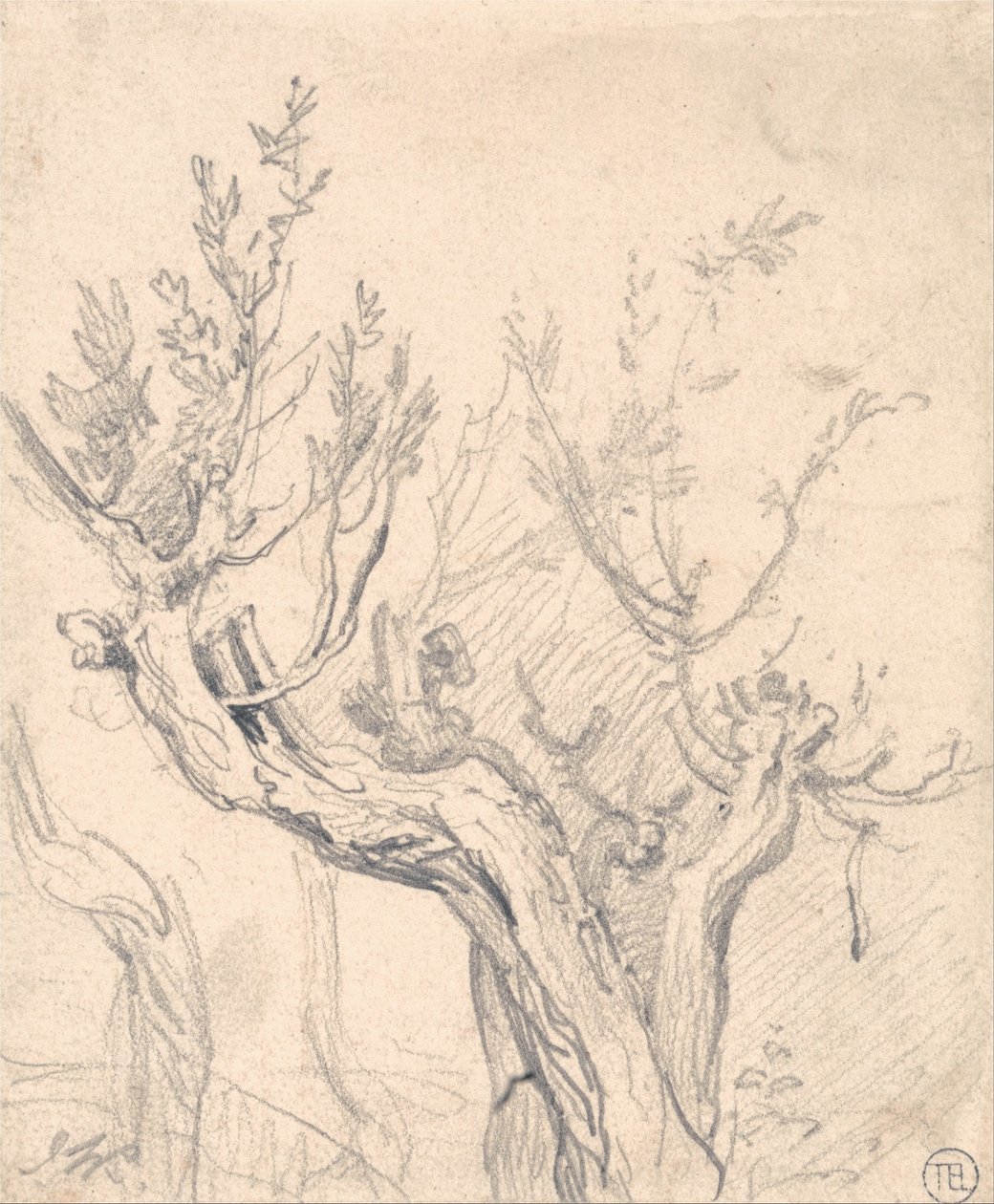 Et knudret træ af James Ward