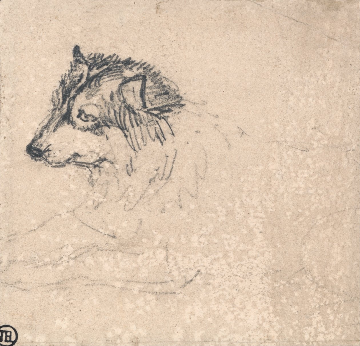 Arktisk hund, vender mod venstre af James Ward