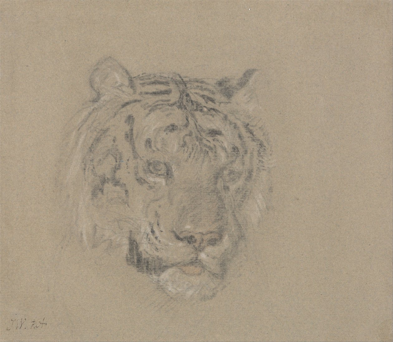 Hovedet af en tiger af James Ward