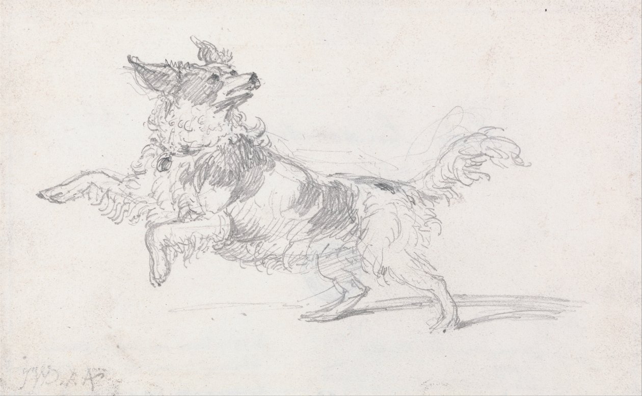 Lady Londonderrys hund af James Ward