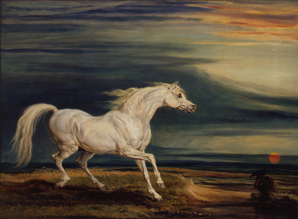 Marengo, den arabiske oplader, redet af Napoleon Bonaparte i slaget ved Waterloo af James Ward