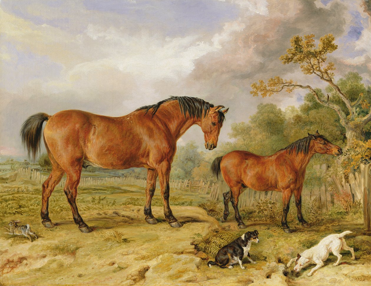 Portræt af Reformer, Blucher, Tory og Crib, Ejendommen af Rowland Alston, Esq. af James Ward