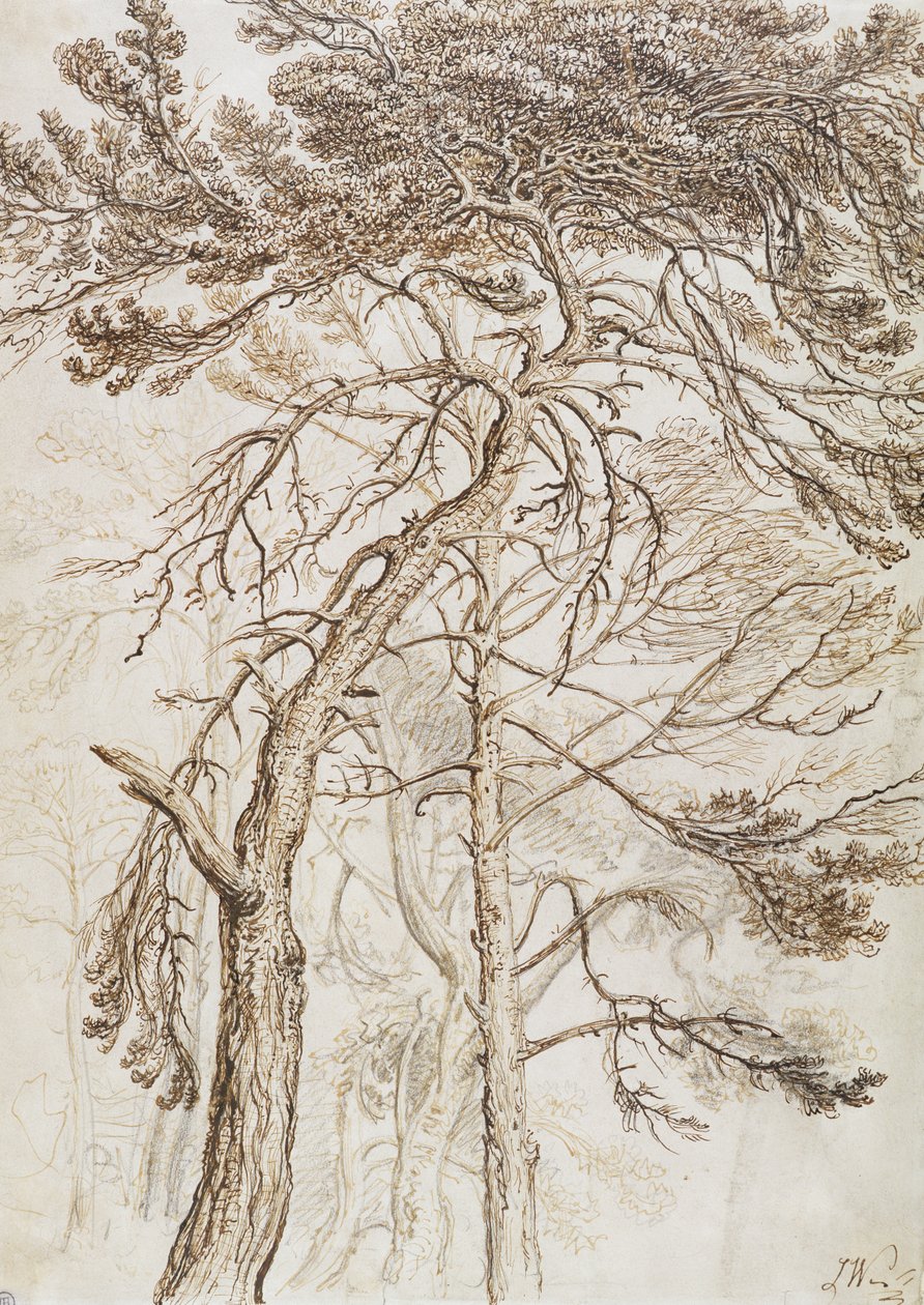 Studie af træer (pen & blæk og blyant på papir) af James Ward