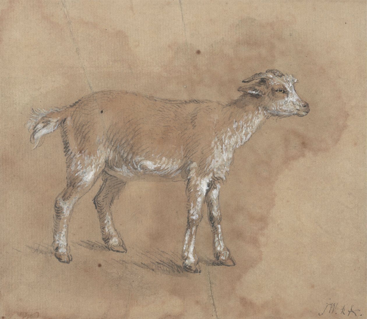 Studie af et barn af James Ward