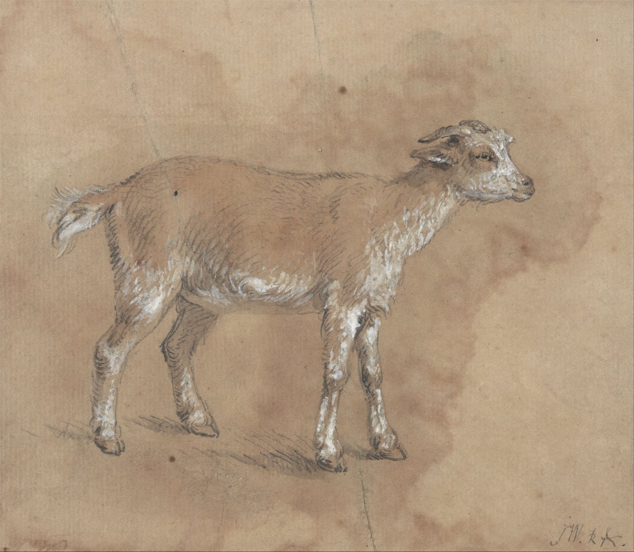 Studie af et barn af James Ward
