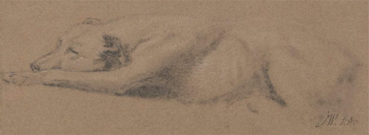 Studie af en sovende hund af James Ward