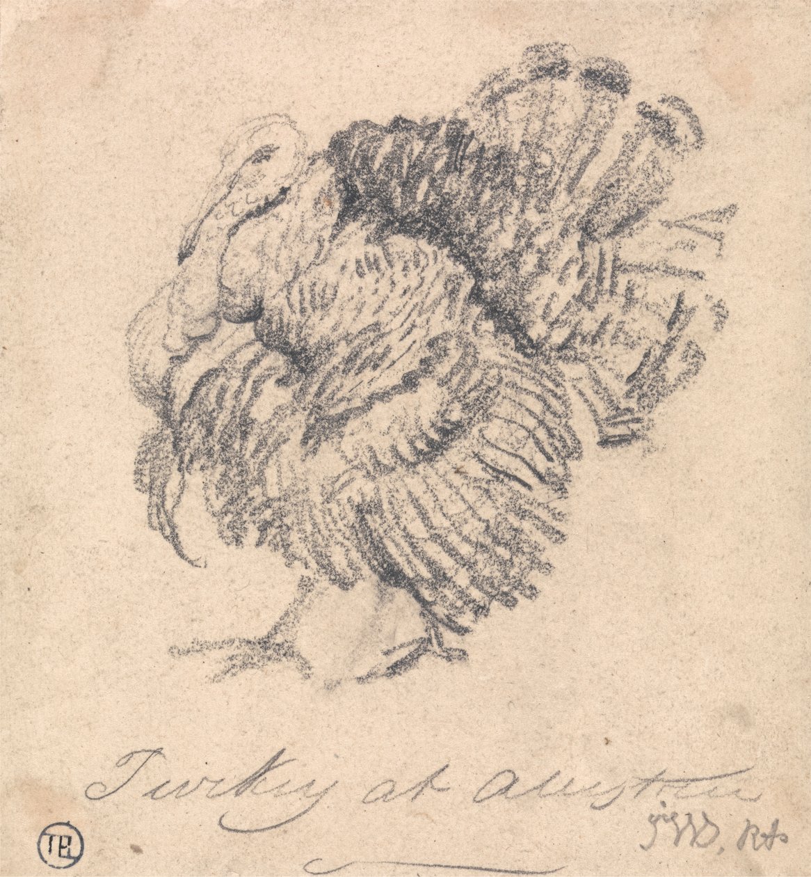 Studie af et Tyrkiet af James Ward