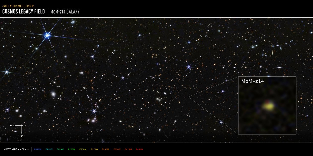 COSMOS-feltet: MoM-z14-galaksen (billede taget med NIRCam) af James Webb Space Telescope (NASA)