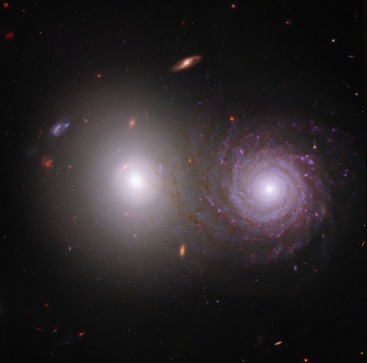 Interagerende galakser VV 191 (Webb og Hubble Composite Image) af James Webb Space Telescope (NASA)
