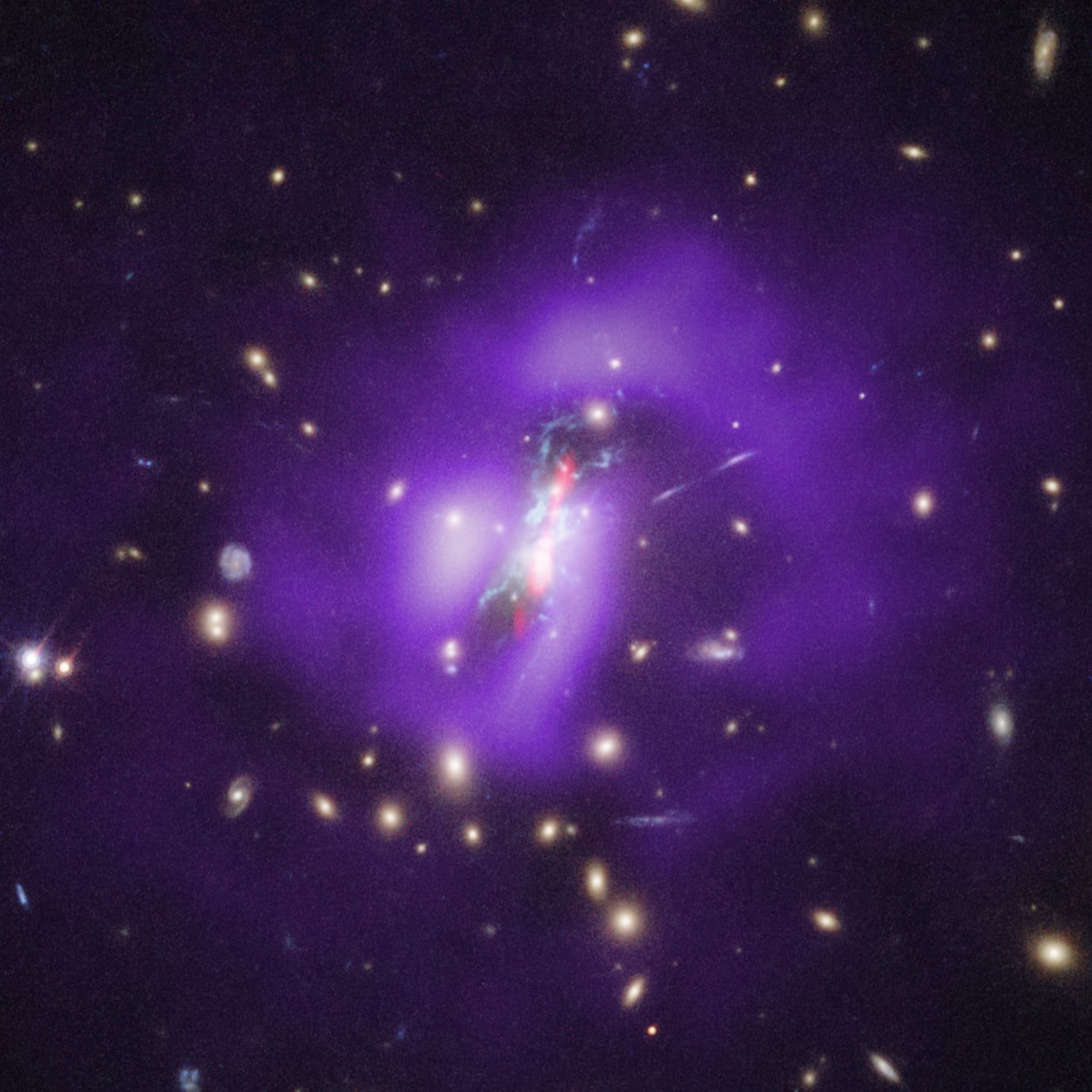 Phoenix-klyngen (Hubble, Chandra, VLA) af James Webb Space Telescope (NASA)