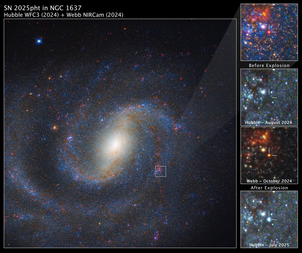 SN 2025pht i NGC 1637 af James Webb Space Telescope (NASA)