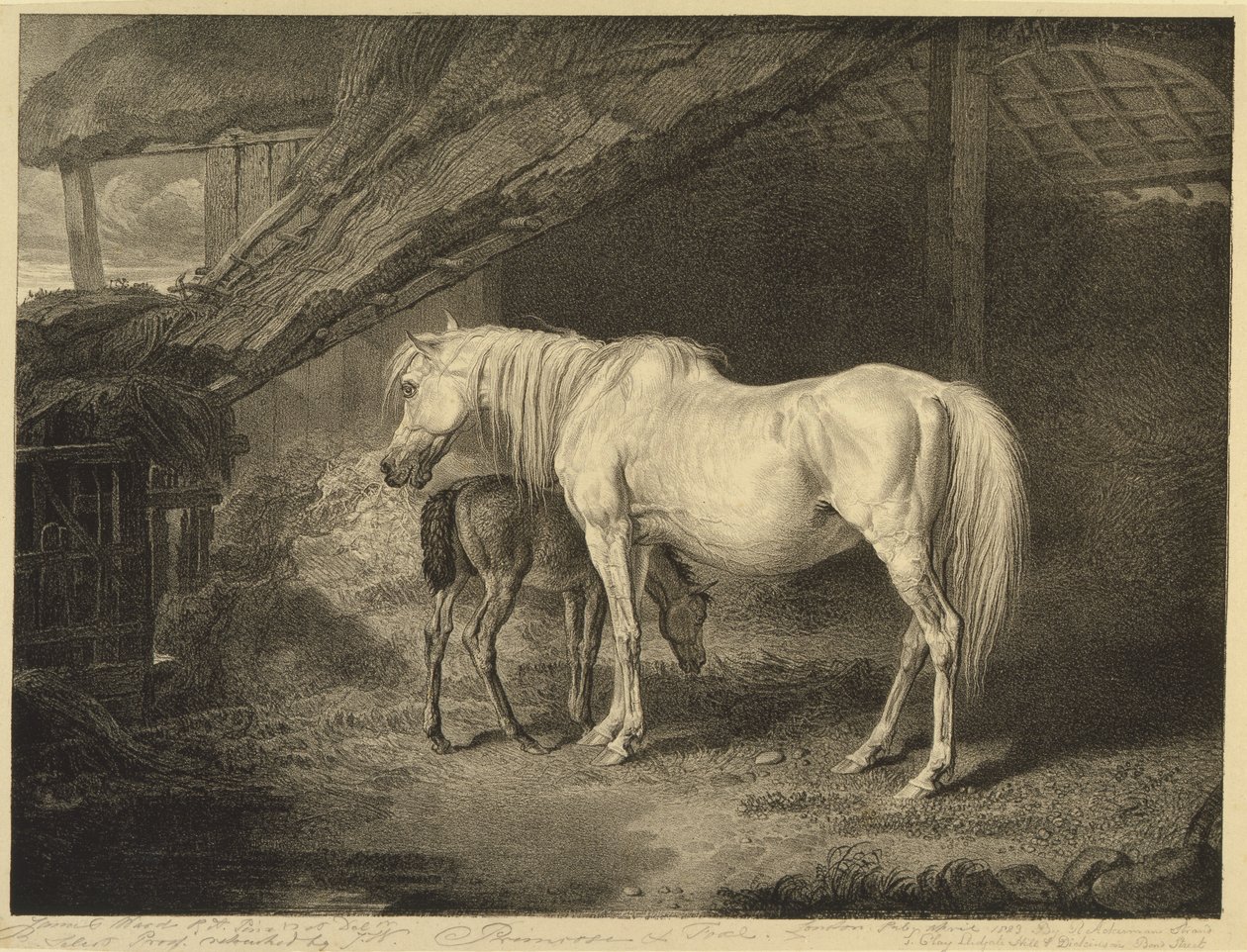 Primrose og Føl, fra Celebrated Horses, et sæt af fjorten væddeløbstryk udgivet af kunstneren, 1823-24 af James after Ward