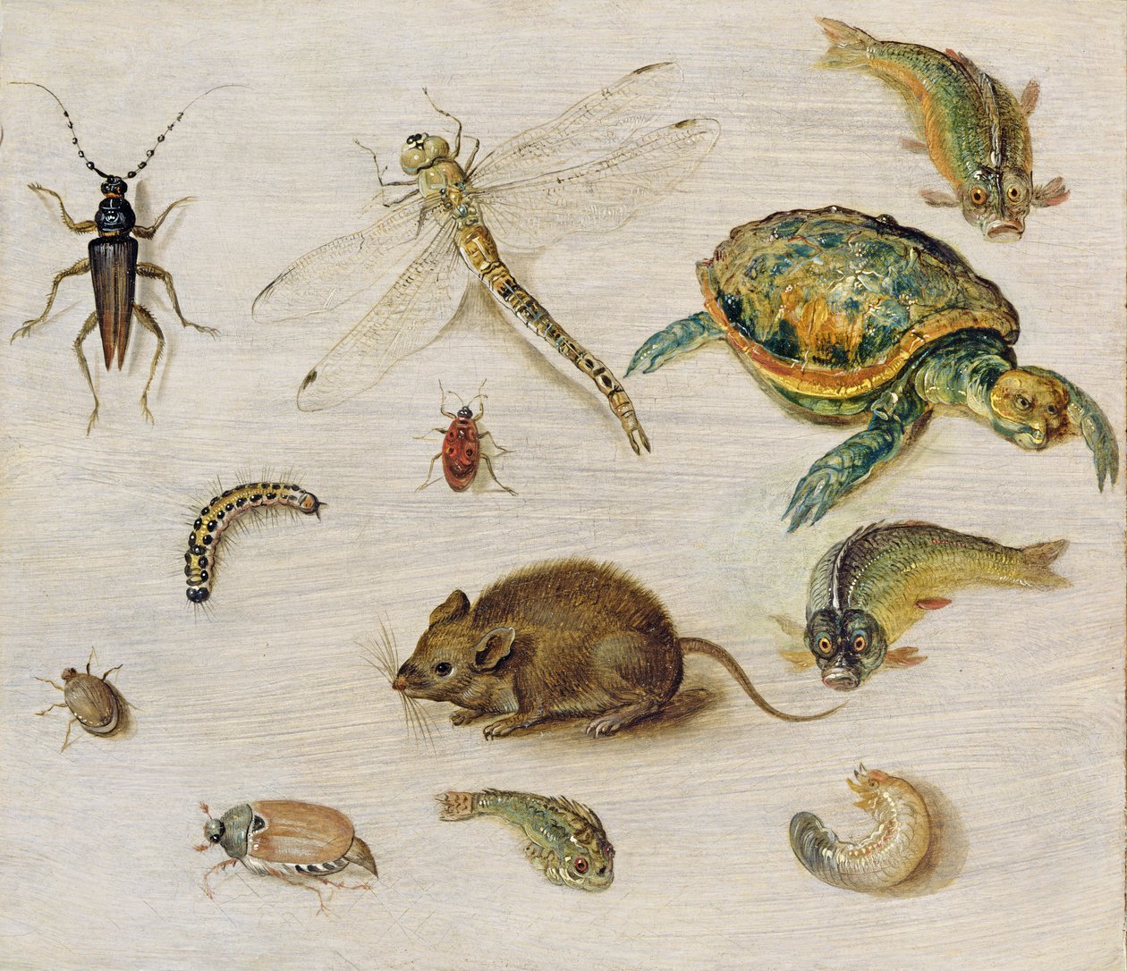 En undersøgelse af insekter, havdyr og en mus af Jan the Elder Brueghel