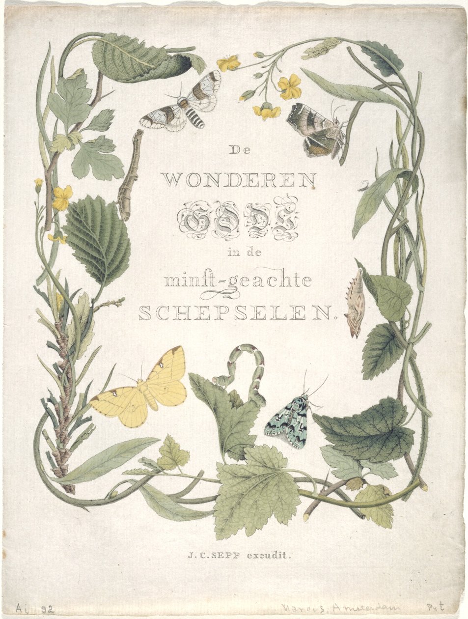 Natsommerfugle fra den første familie i den første bande. Tab. III., 1762-1860 af Jan Christiaen Sepp