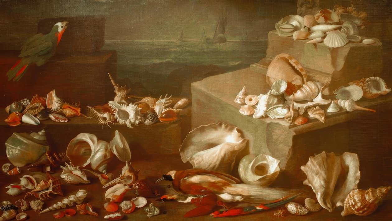Stilleben med snegle og skaller af Jan Davidsz de Heem