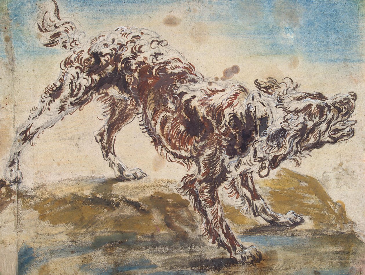 Studie af en hund af Jan Fyt