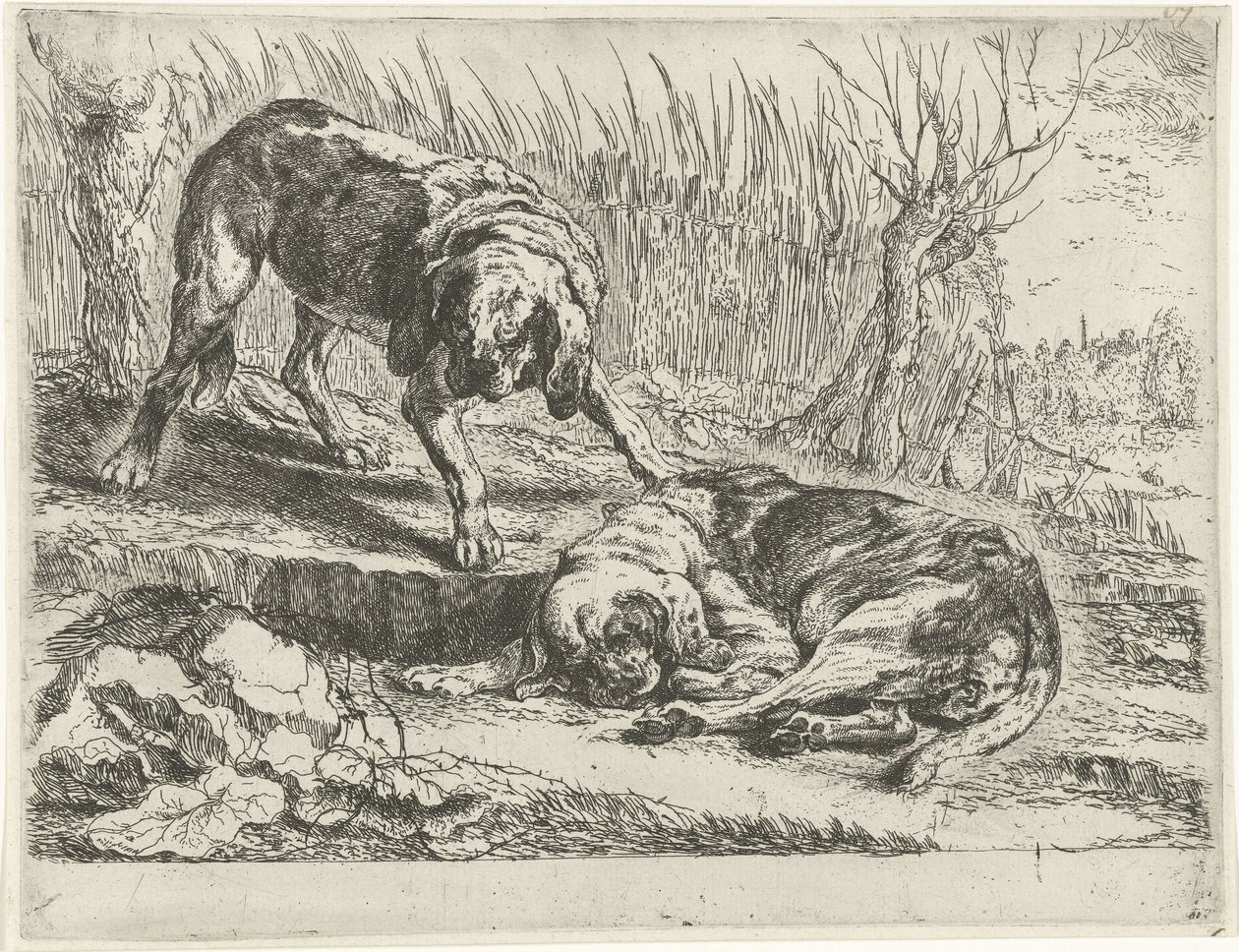 To hunde af Jan Fyt