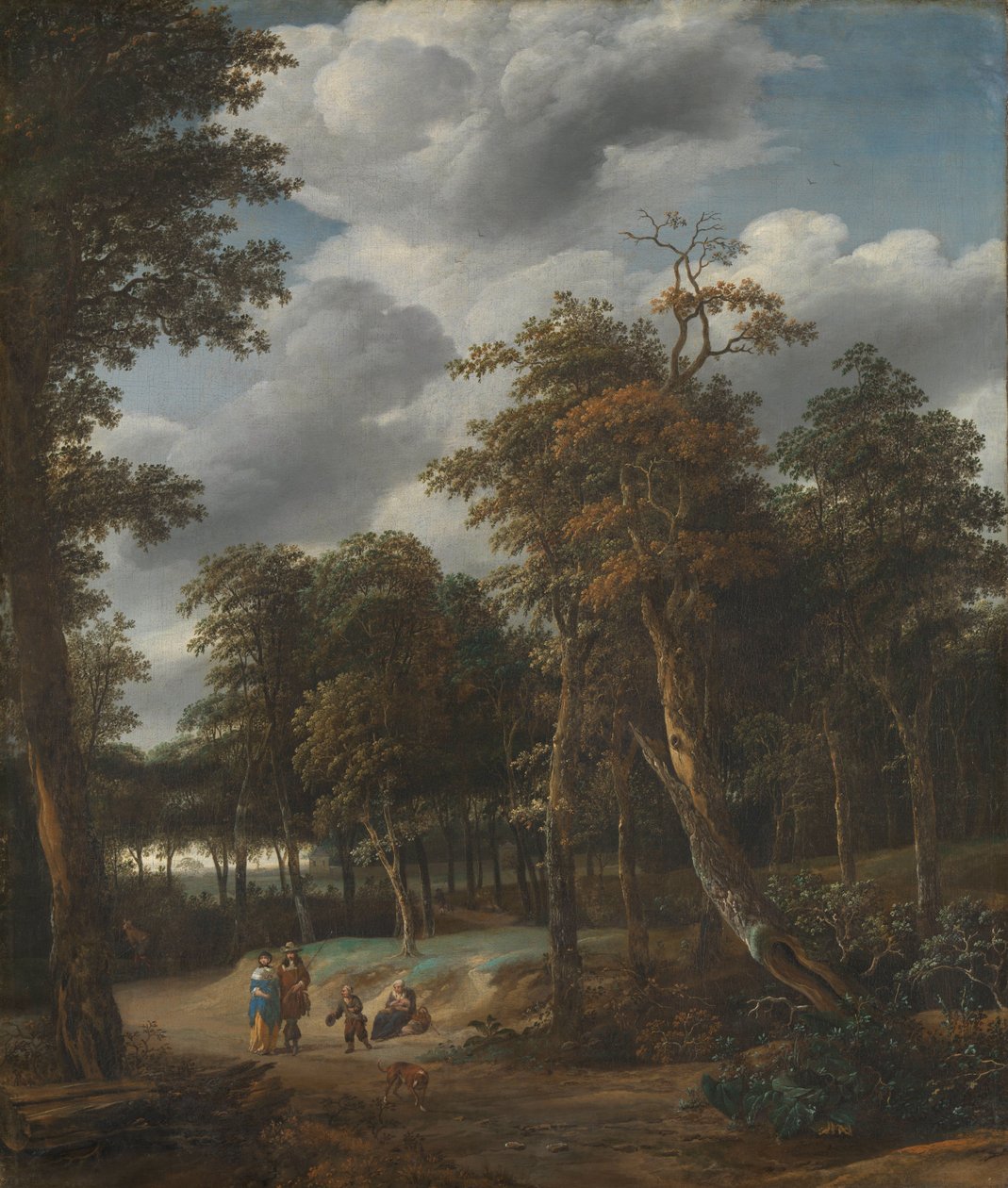 Skovvej af Jan Looten