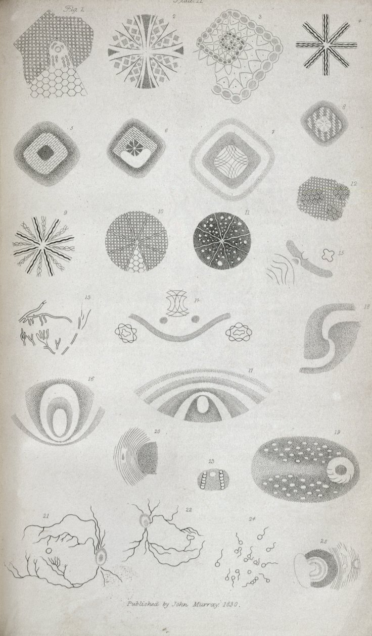 Plade II fra "Contributions of the physiology of vision No. I", offentliggjort i Journal of the Royal Institution, 1830 af Jan Purkinje