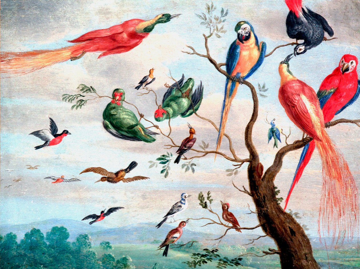 The Chorus of Birds, ca. 1650-1675 (olie på metal) af Jan Thomasz. van Kessel