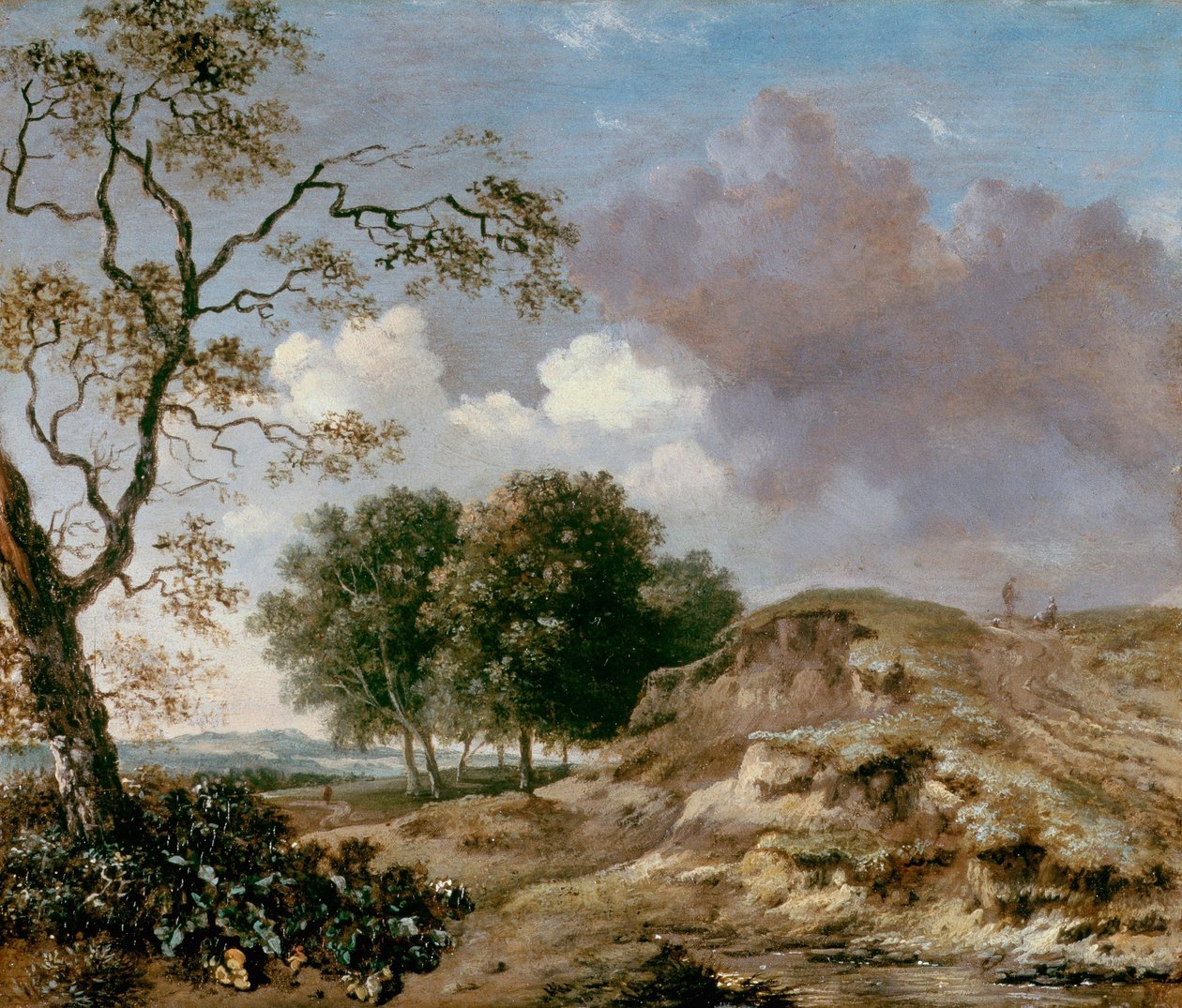 Landskab af Jan Wijnants
