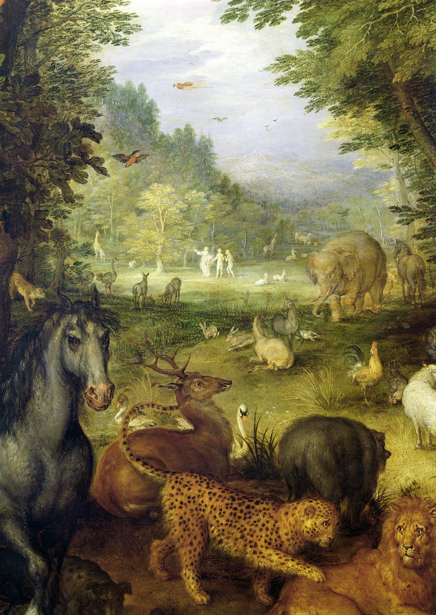Jorden eller det jordiske paradis, detalje af dyr, 1607-08 (olie på kobber) af Jan the Elder Brueghel