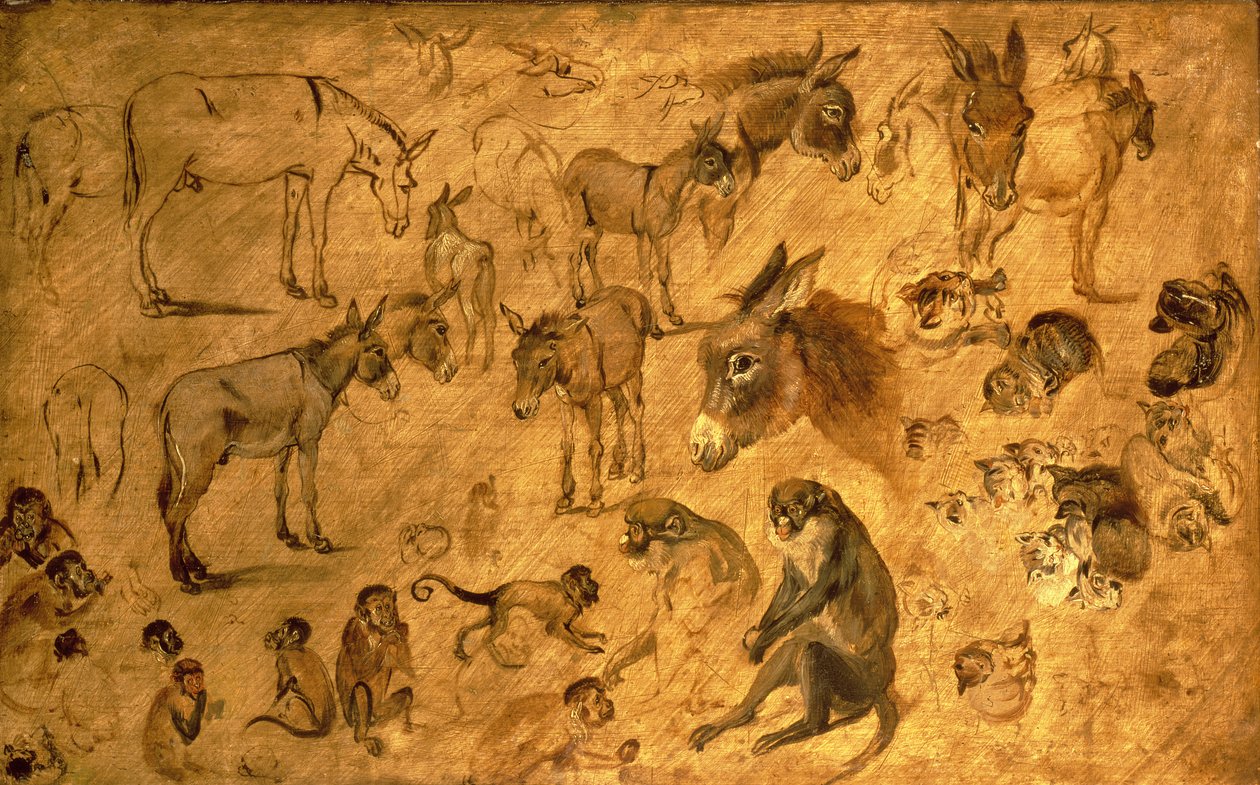 Studie af æsler, killinger og aber, 1616 af Jan the Elder Brueghel