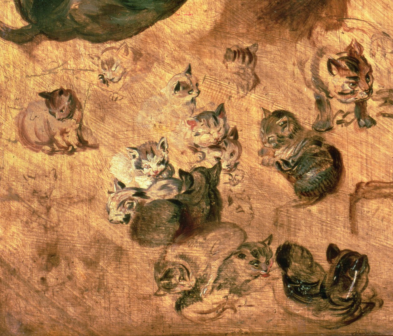 Studie af katte, 1616 (detalje af 65879) af Jan the Elder Brueghel